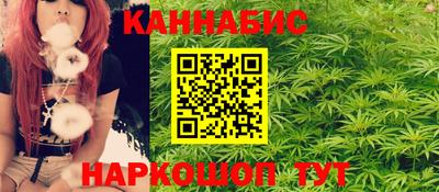 индика Нальчик