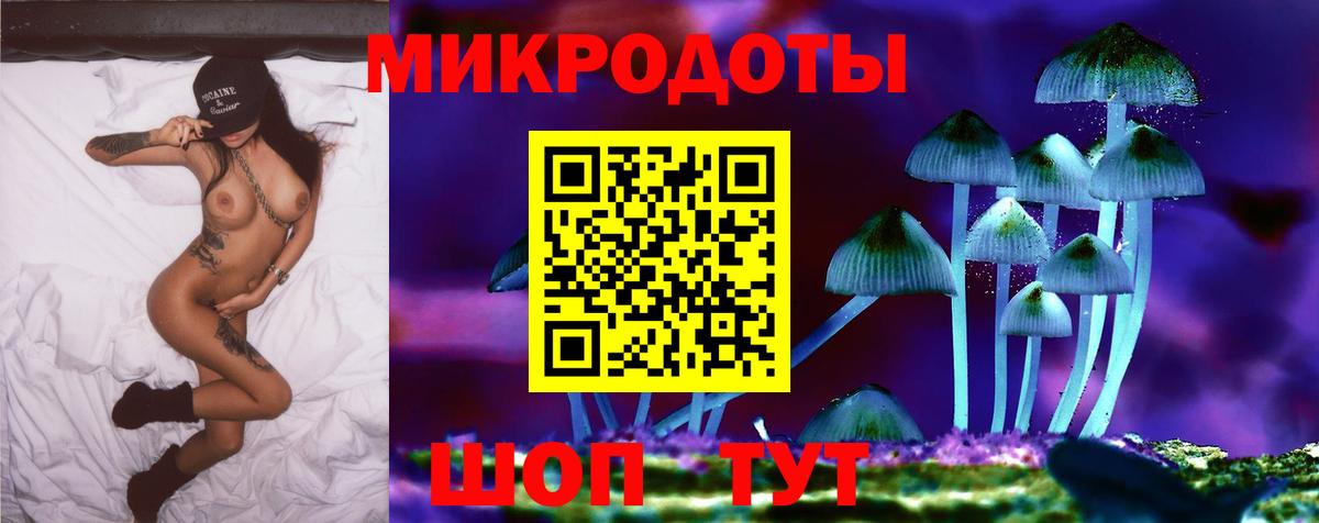Иркутск  Псилоцибиновые грибы Psilocybe  Вход с VPN 